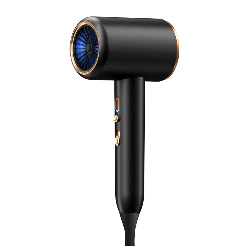 Professional Hair Dryer